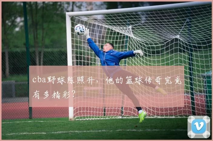 cba野球陈照升,他的篮球传奇究竟有多精彩?