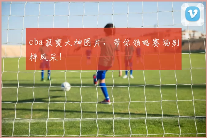 cba寂寞大神图片，带你领略赛场别样风采！